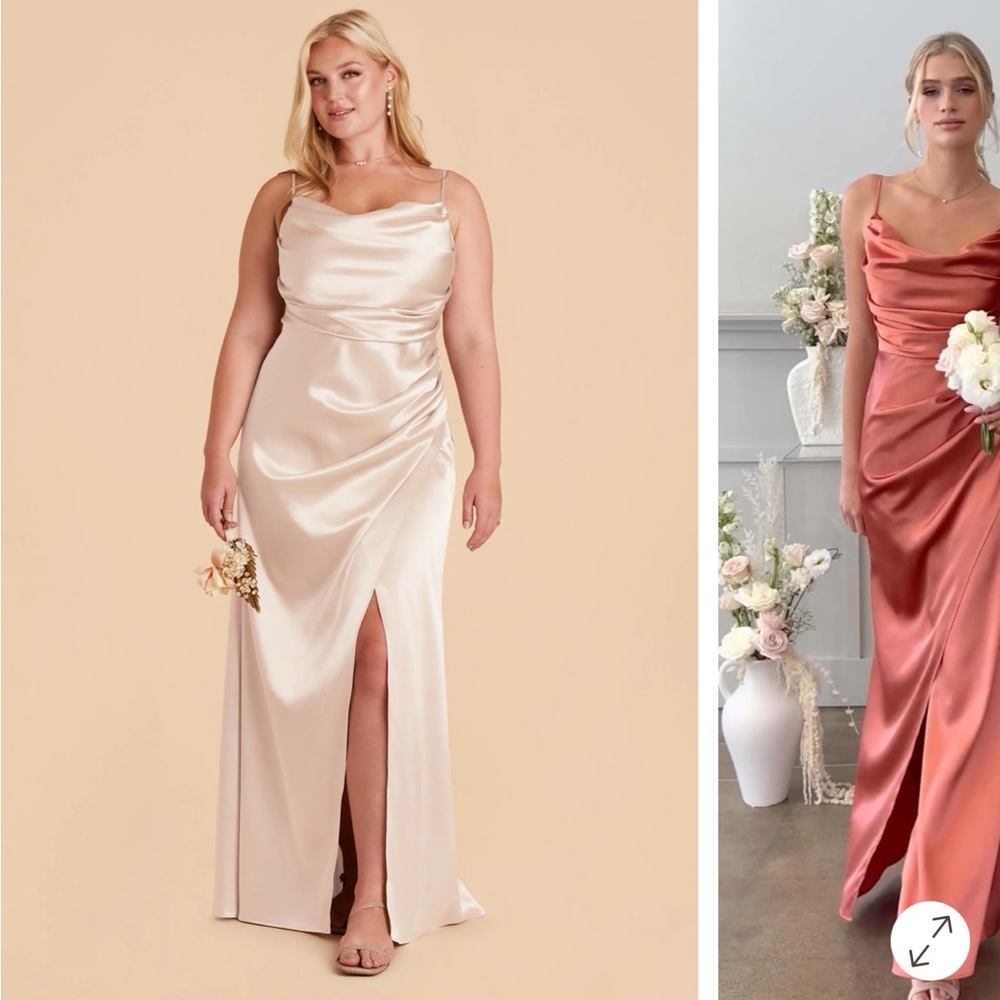 Birdy Grey Shiny Champagne Dress
